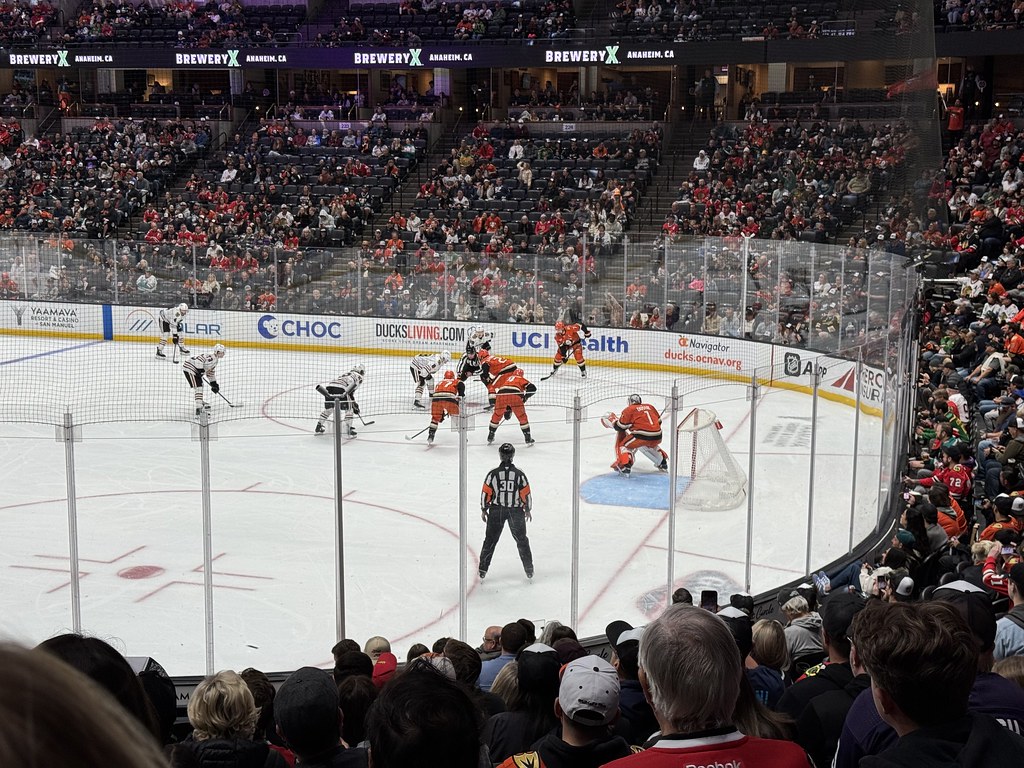 Anaheim Ducks